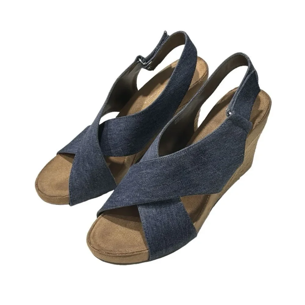 Aerosoles |  